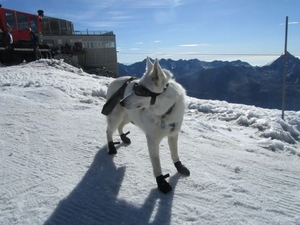 20100728 Saas 361e Allalin - Mittelallalin 3500m