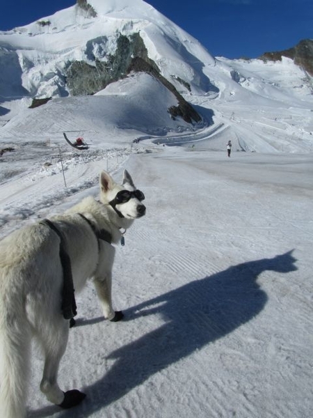 20100728 Saas 362 Allalin - Mittelallalin 3500m