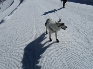 20100728 Saas 369 Allalin - Mittelallalin 3500m