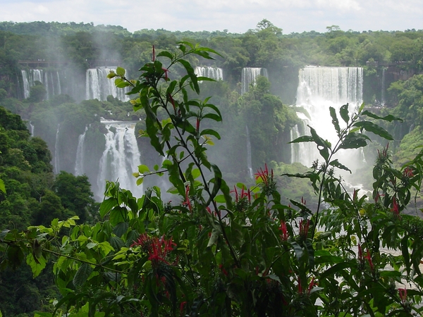 116  Foz do Iguazu  Bazilië