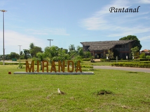 242 Miranda , Pantanal