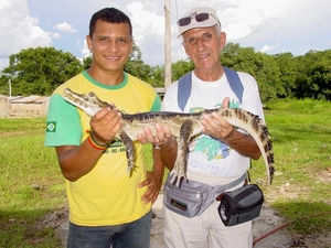 266  kaaiman kwekerij, Pantanal
