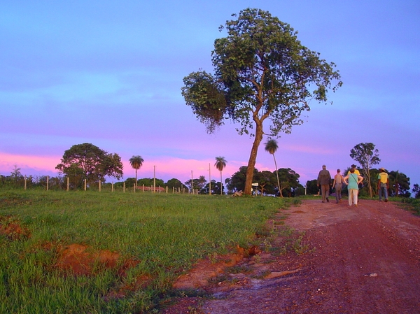 285 Avondwandeling , Pantanal