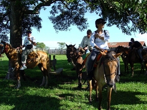 308 Paardentocht, Pantanal