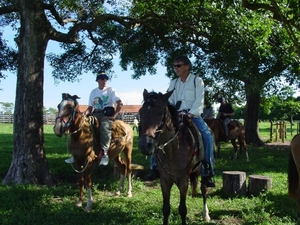 309  Paardentocht, Pantanal