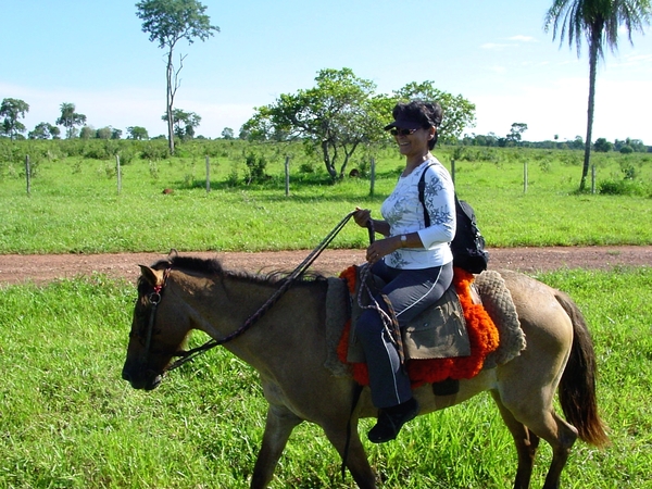 404  A Paardentocht, Pantanal