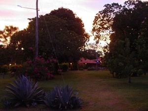 418 Avondgloed,  Pantanal