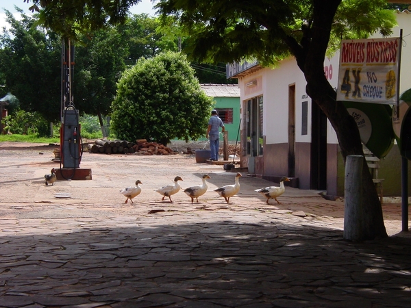 424 op weg naar Campo Grande, Pantanal