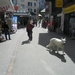 20100724 Saas 074 Saas Fee