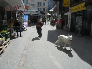 20100724 Saas 074 Saas Fee