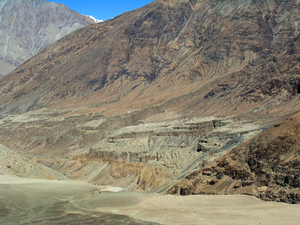 EEN FERM GERODEERD LANDSCHAP