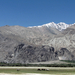 GRAZENDE PAARDEN EN OP DE ACHTERGROND DE LADAKH RANGE