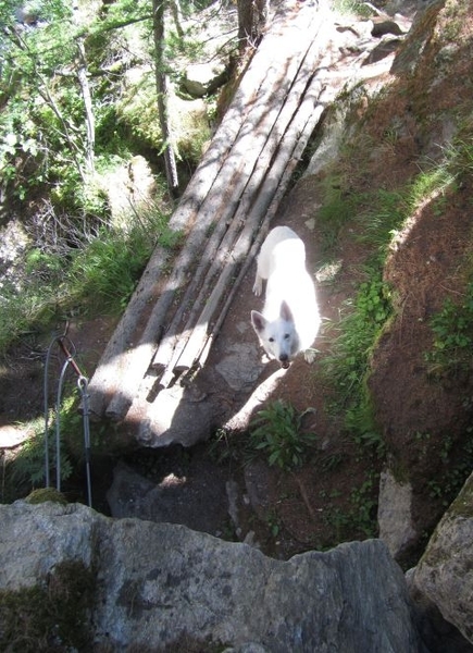 20100727 Saas 298 Schlucht op camping