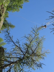 20100727 Saas 311 Schlucht op camping