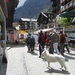 20100729 Saas 460 markt Saas-Fee