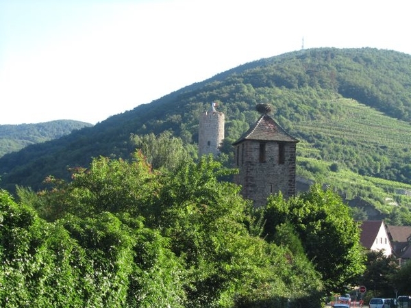 20100731 Saas 586 - Kaysersberg