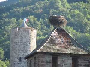 20100731 Saas 588 - Kaysersberg