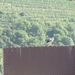 20100731 Saas 590 - Kaysersberg