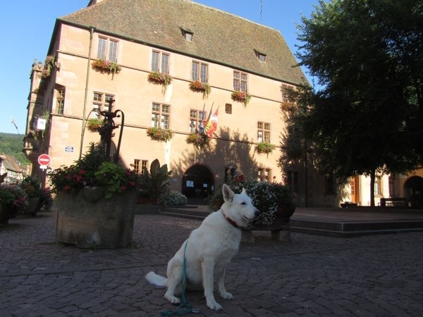 20100731 Saas 593 - Kaysersberg