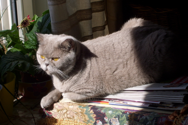 Werken Edward Pynaerkaai 014