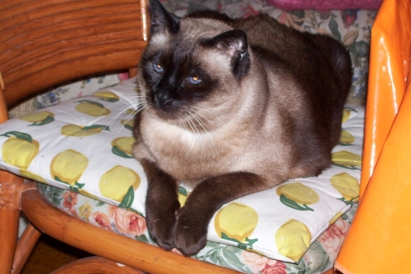 2009 eerste kwartaal 007