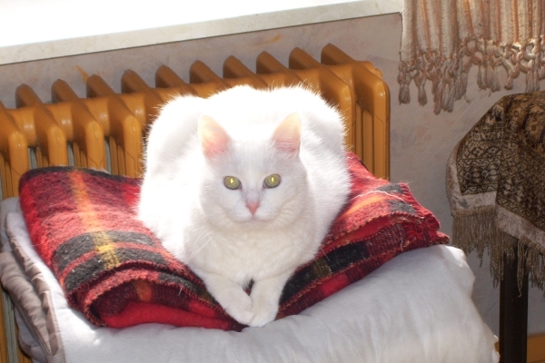 2009 eerste kwartaal 015