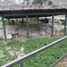 P1020939