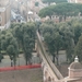 P1020947