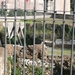 P1020957