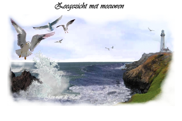 11 ZEEGEZICHT MET MEEUWENPicture 1p