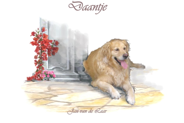 20 ONS EIGEN DAANTJE