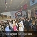 m__DSC0065