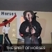 m__DSC0075