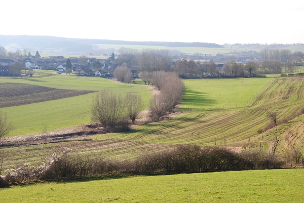 DSC_0520
