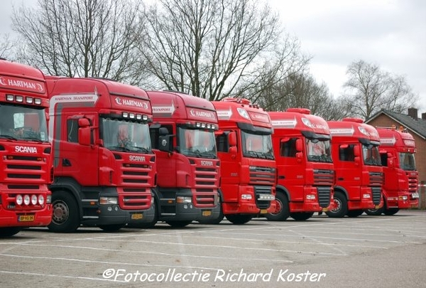 Line Up
