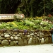 PICT0262