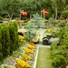 PICT0264