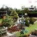 PICT0269