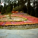PICT0271