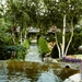 PICT0277