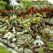 PICT0283