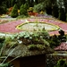 PICT0286