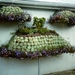 PICT0288