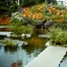 PICT0290