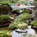 PICT0325