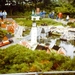 PICT0329