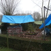 Wieze februari 2011 001