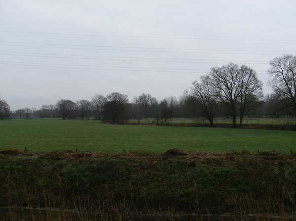 Wieze februari 2011 008