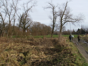 Wieze februari 2011 012