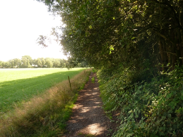 uitzoeken 081